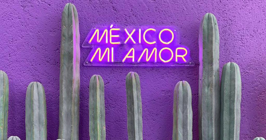 Imagen promocional de Nubank en México con cactus, fondo morado y letras "México mi amor"